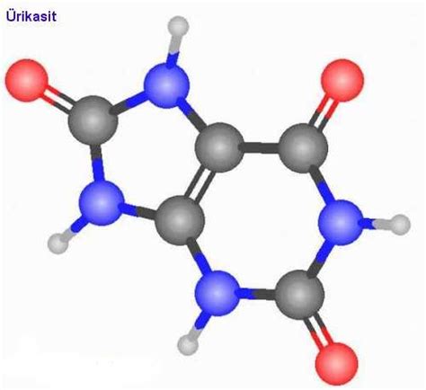 ürikasit molekül modeli