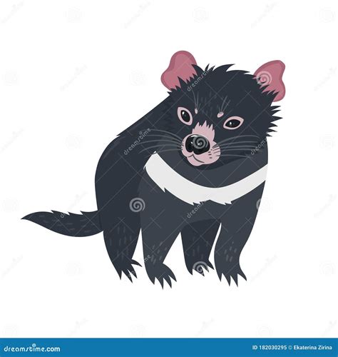 Tasmanian Devil Isolated On White Background Vector Graphics Royalty