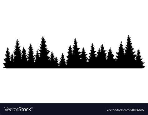 Fir Trees Silhouette Coniferous Spruce Horizontal Vector Image