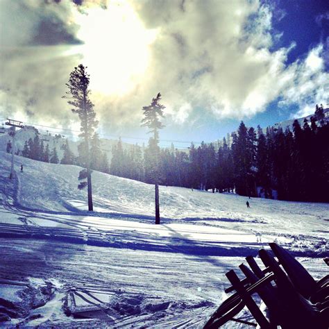 Sugar Bowl Ski Resort Snow Bunnies Bunny Goal Board Ski Resorts