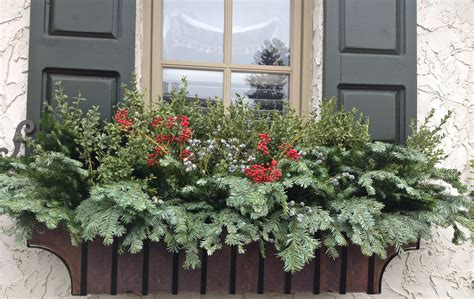 Winter Window Display Boxes