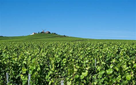 Champagne region: facts & figures! | Champagne Travel