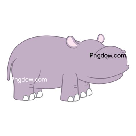 Download Free Hippo Transparent Background Image for Amazing Designs ...