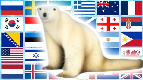 Polar Bear 2026 In 70 Languages Meme YouTube