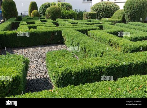 Modern Garden Architecture With Labyrinth Of Box Trees Stock Photo Alamy