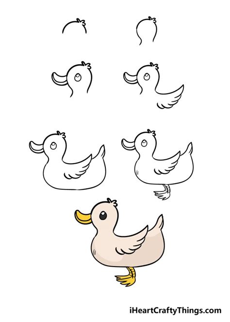 Steps To Draw A Duck