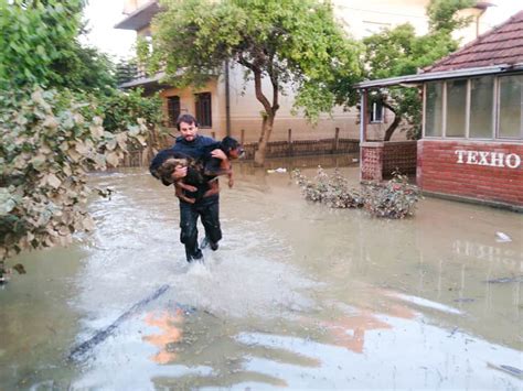 National Animal Disaster Preparedness Day {Get Your Dog Ready!}