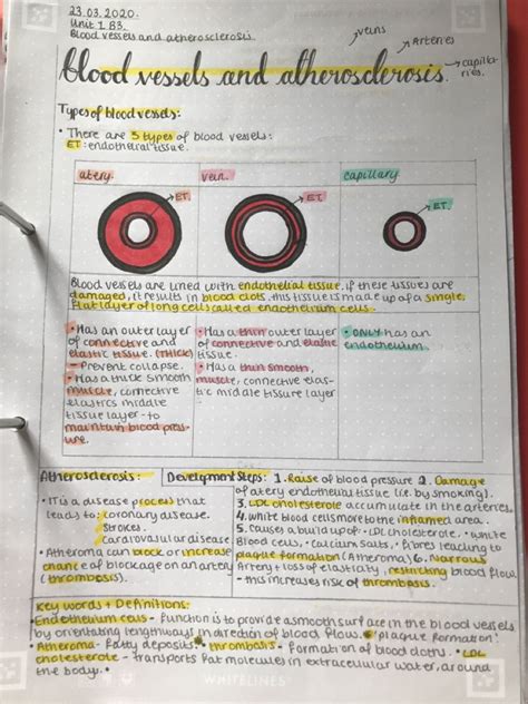 Biology Facts Study Biology Biology Notes Cell Biology Medical