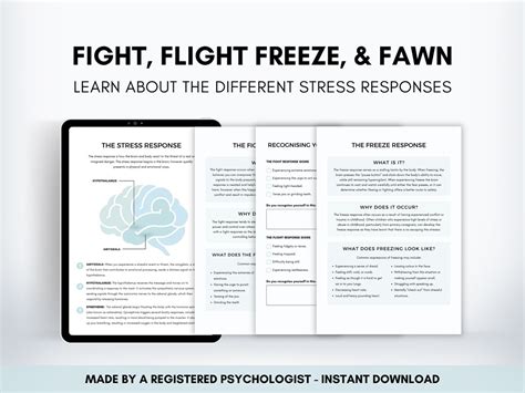 Fight Flight Freeze Fawn Response Worksheet Bundle Therapist Resource