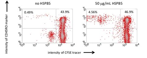 Human peripheral blood CD45RO+ memory T cells proliferate in response... | Download Scientific ...