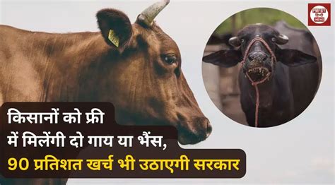 Animal Husbandry सरकार फ्री में दे रही है किसानों को फ्री में दो गाय