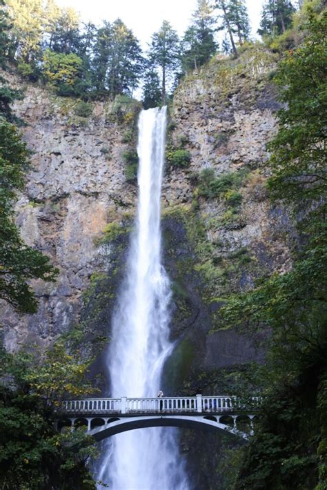 Portland Oregon Day Trip To Multnomah Falls Salty Canary