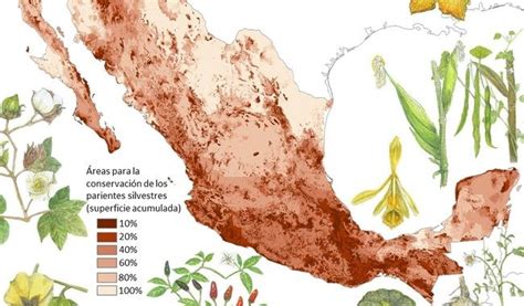 Conservación Genética De Los Cultivos Clave Para La Seguridad