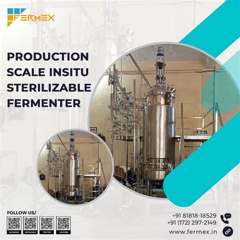 Fermex In Situ Sterilizable Fermenter For Industrial Production