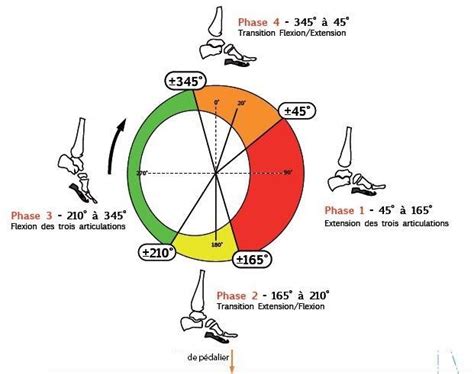 Pédalage 53douze Séjours et stages vélo de route