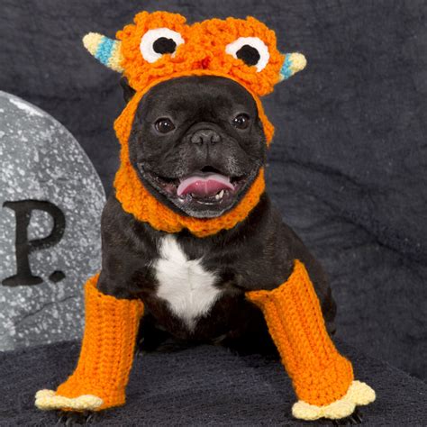 Crochet Dog Costume Free Pattern