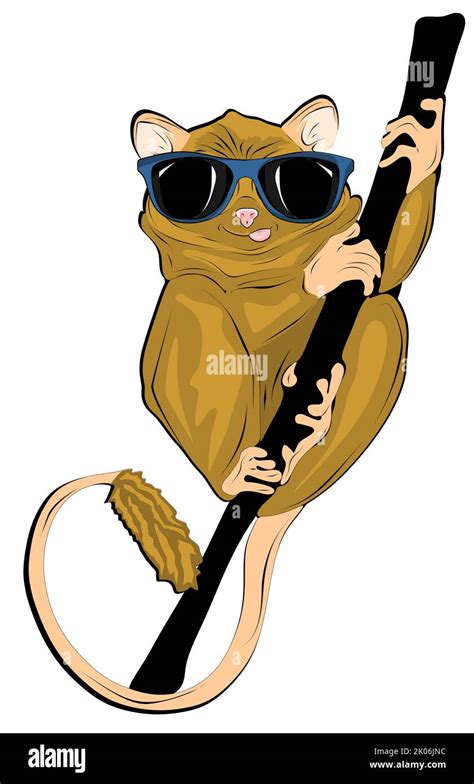 Cool Monkey With Sunglasses