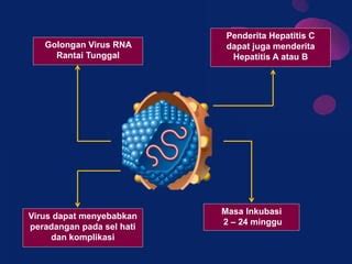 Hepatitis C Ppt