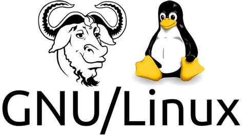 Gnulinux The Full Linux Picture Youtube