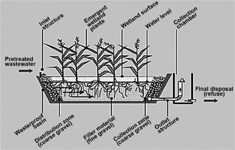 Schematic Cross Section Of A Horizontal Subsurface Flow Constructed