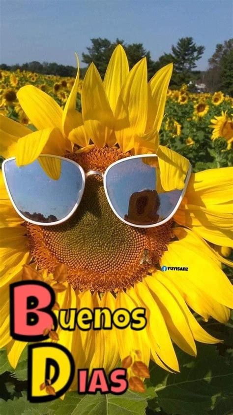 Pin De Muka En Saludos Buenos Dias Alegria Felicitaciones De Buenos