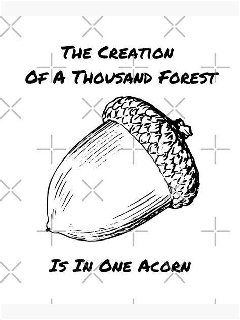 The Creation Of A Thousand Forest Is In One Acorn White Background