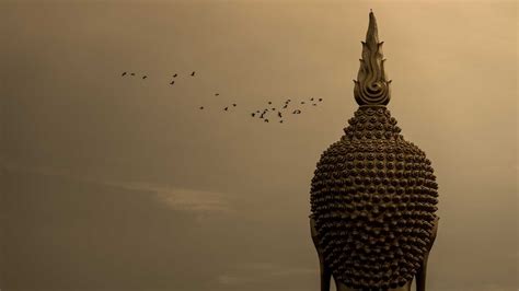 Buddhism and the moral status of animals - ABC Religion & Ethics