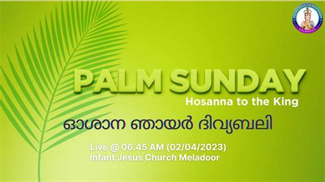 Palm Sunday Holy Mass Live Syro