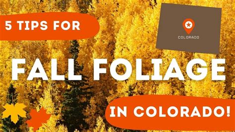 5 Tips For Fall Foliage In Colorado From A Local YouTube