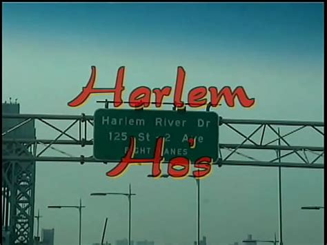 HARLEM HO S Horizon XVIDEOS