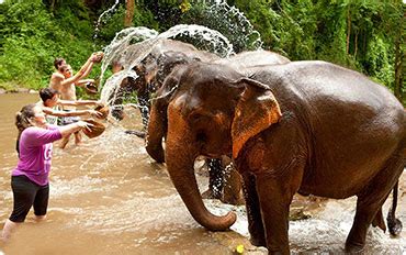 Packages Kerala Tour Packages Rotary Club Tours Houseboat Cruise In