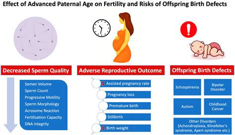 Genes Free Full Text Impact Of Advanced Paternal Age On Fertility