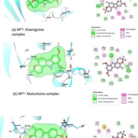 The 3d And 2d Molecular Interaction Diagrams Of The Best Docking Poses