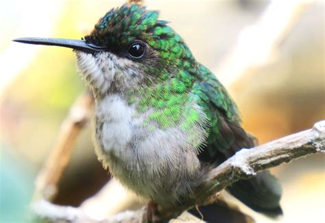 Vempassarinharsampa Parque Anhanguera Une Lazer E Consci Ncia