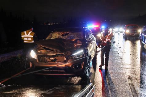 Moose Vehicle Collision Sends Two To Hospital Kills Moose NTV