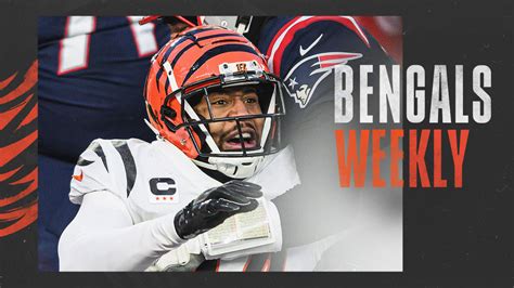 Week 17 Against the Buffalo Bills | Bengals Weekly