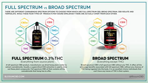 Full Spectrum Cbd Vs Cbd Isolate Vs Broad Spectrum Cbd Cbd Advisors