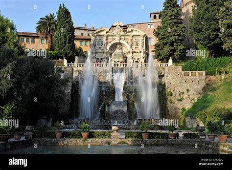 Fish Ponds Neptune Fountain Or Fontana Di Nettuno And Fountain Of The