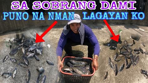 Catch And Cook Sa Sobrang Dami Ng Isda Puno Ang Lagayan Ko Youtube