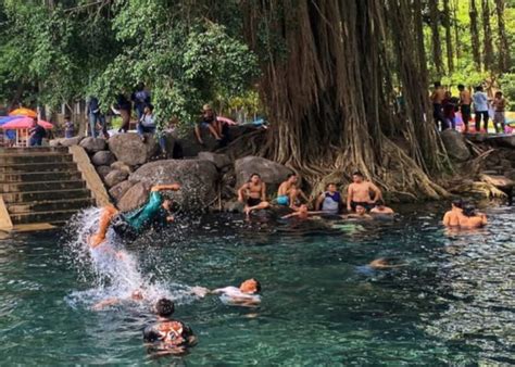 Wajib Dikunjungi Umbul Sigedang Klaten Pesona Keindahan Mata Air Yang