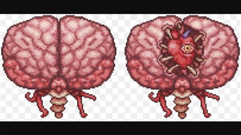 Brain of cthulhu terraria