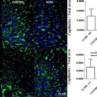 Photomicrographs Scale Bar Mm And Graphs Of Vegfr Expression