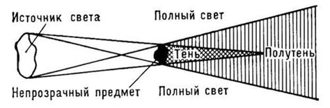 Полутень