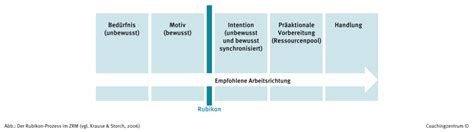 zuercher ressourcen modell zrm  practice fuer das