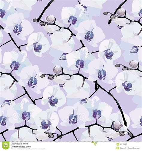 Seamless Pattern Of Flower Orchids Stock Vector Illustration Of Love