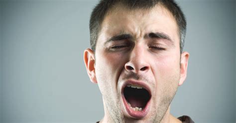 Study Suggests Yawning May Be Linked to Brain Cooling