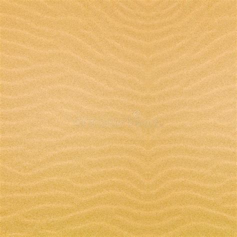 Sand pattern of a beach stock photo. Image of life, closeup - 32592364