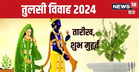 Tulsi Vivah 2024 Date कब है तुलसी विवाह बनेंगे 2 शुभ योग जानें पूजा का शुभ मुहूर्त शालिग्राम