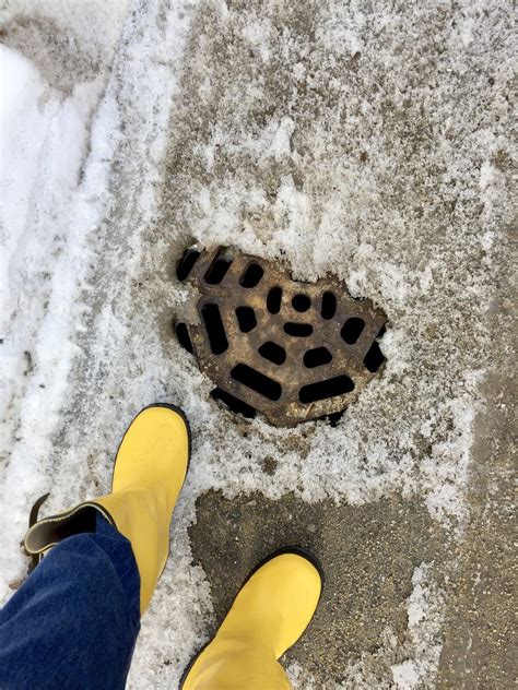 Citizen Work Clearing The Storm Drains Ann Althouse Flickr