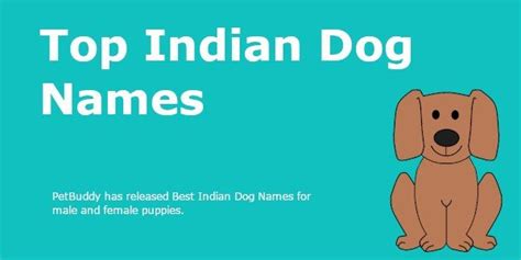 Indian Dog Names Ideas for Male & Female | Desi Dog Names